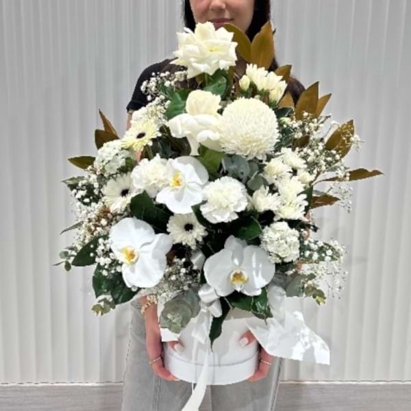 White box beauty 