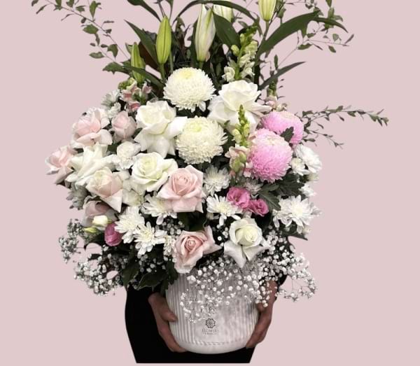 Super star Beautiful box 